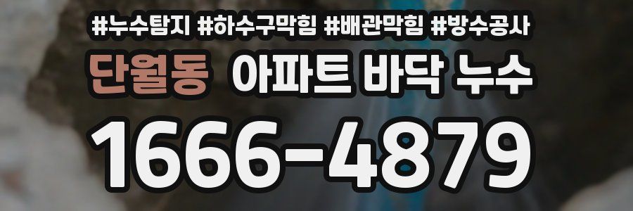 단월동 아파트 바닥 누수