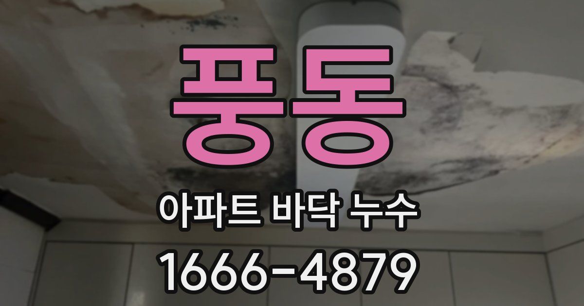 풍동 아파트 바닥 누수