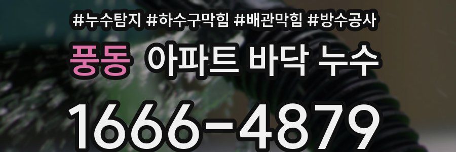 풍동 아파트 바닥 누수