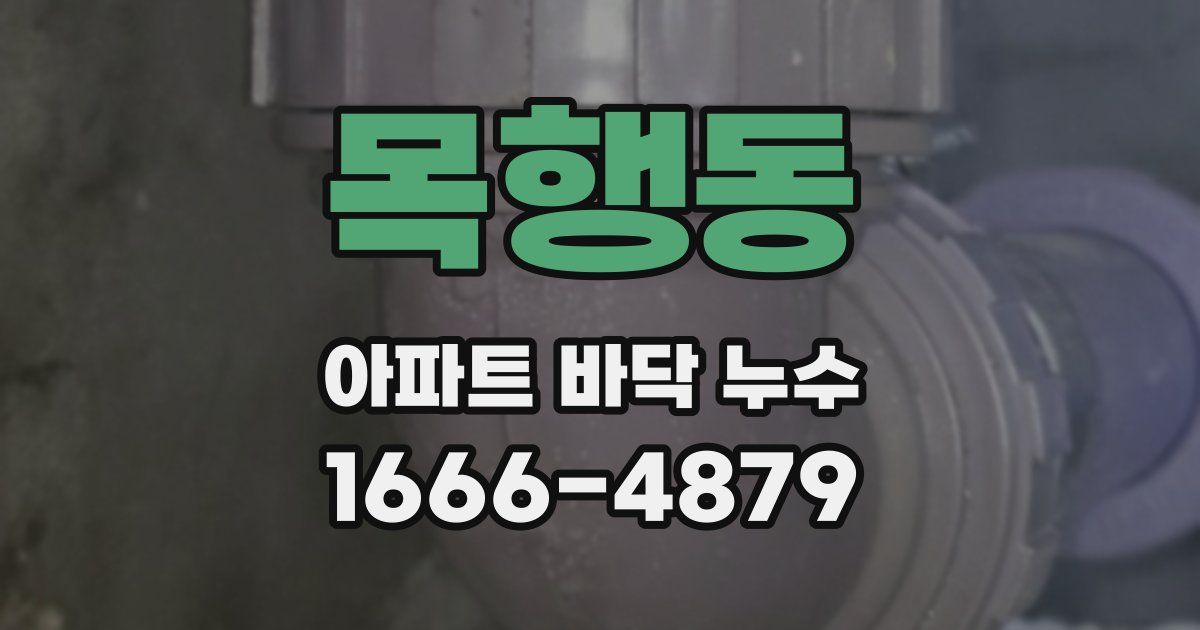 목행동 아파트 바닥 누수