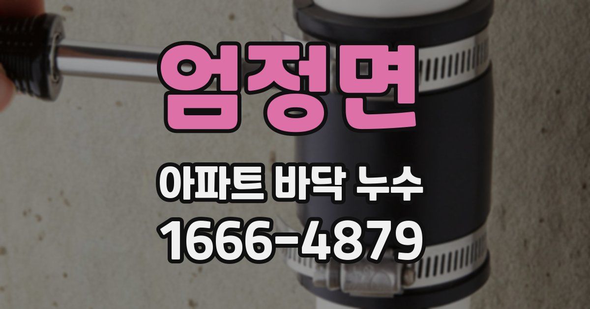 엄정면 아파트 바닥 누수
