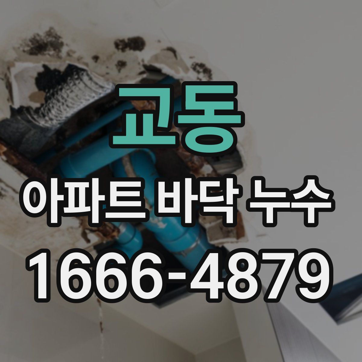 교동 아파트 바닥 누수