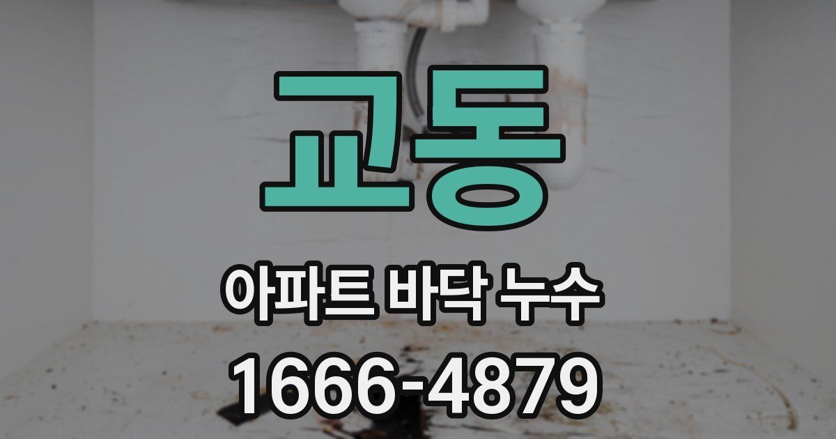 교동 아파트 바닥 누수