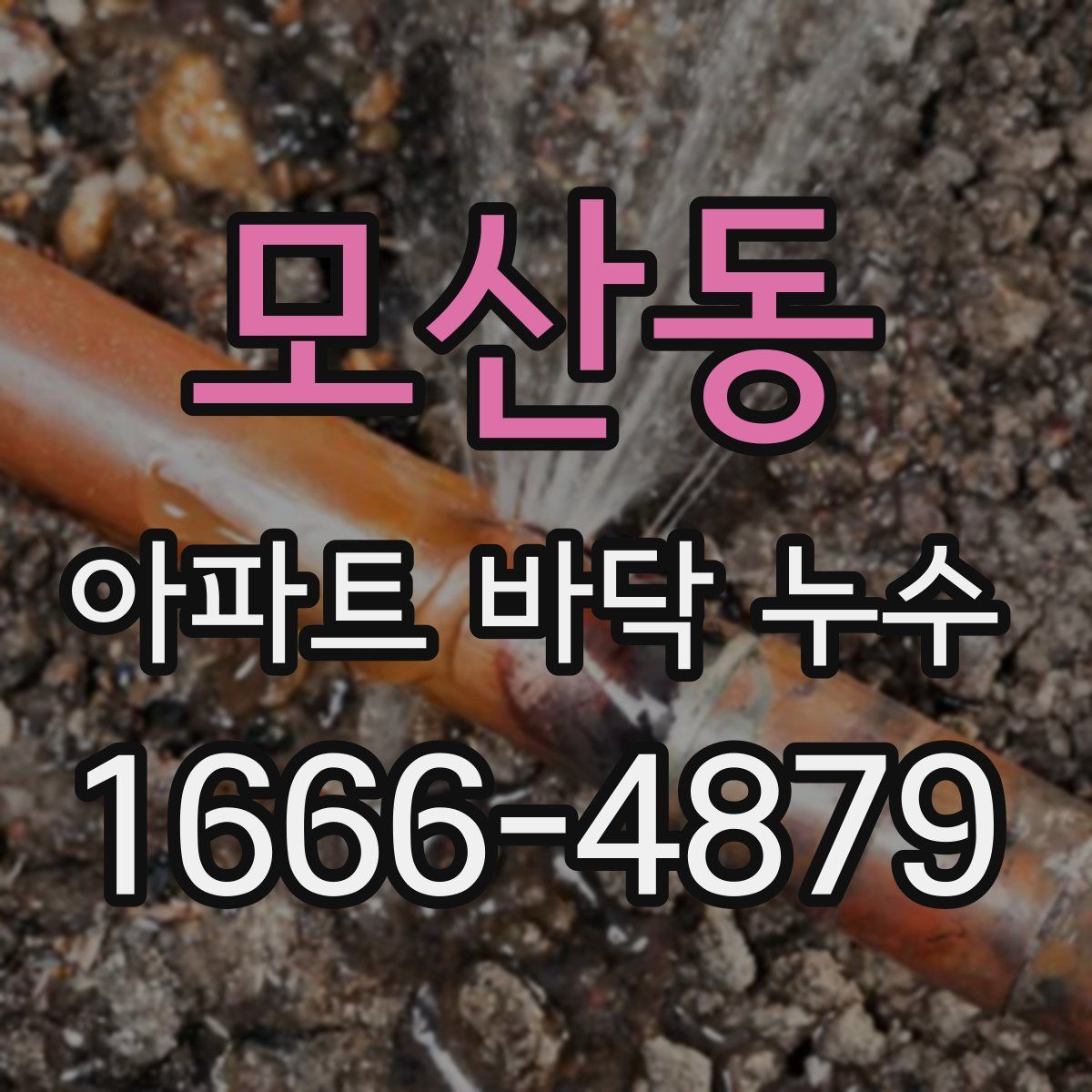 모산동 아파트 바닥 누수