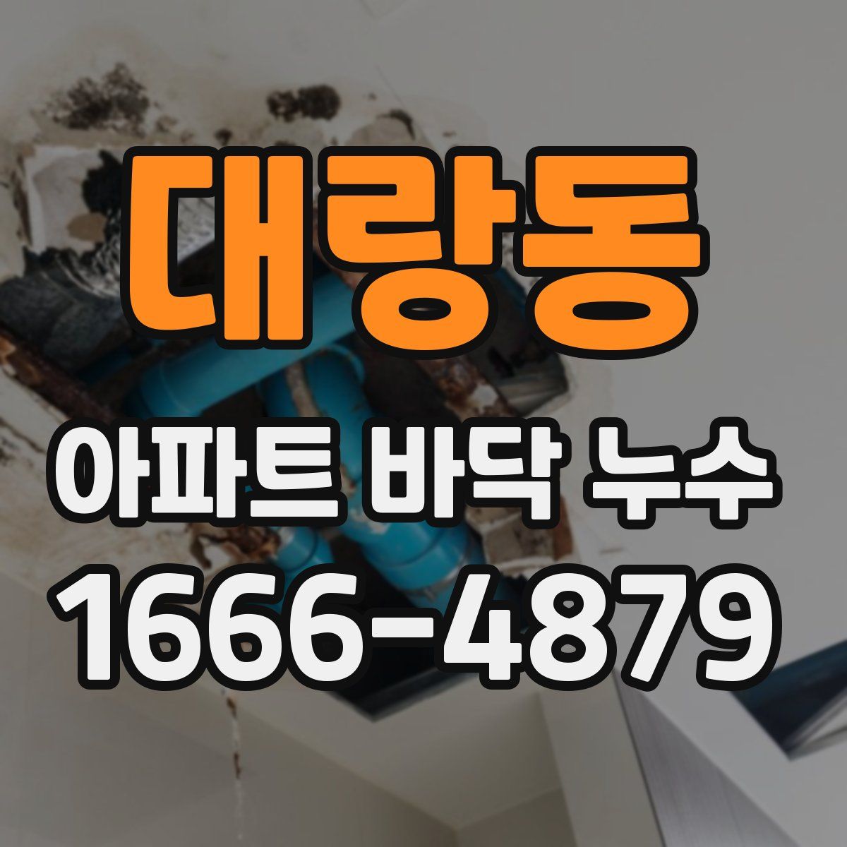 대랑동 아파트 바닥 누수