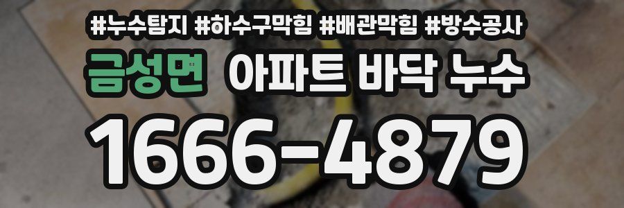 금성면 아파트 바닥 누수