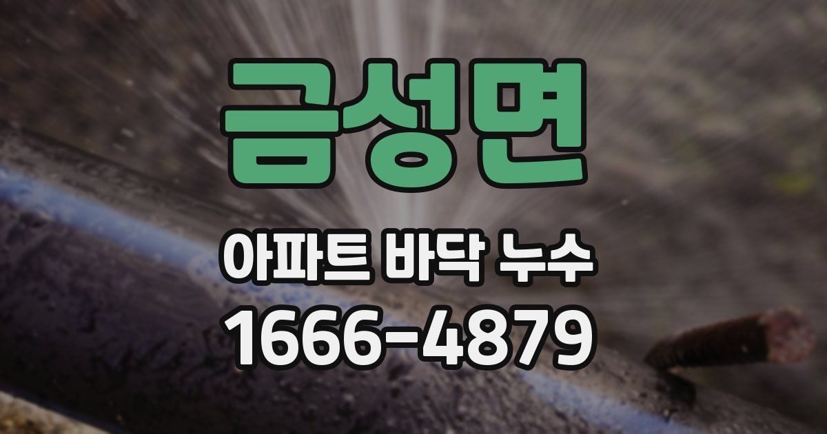 금성면 아파트 바닥 누수