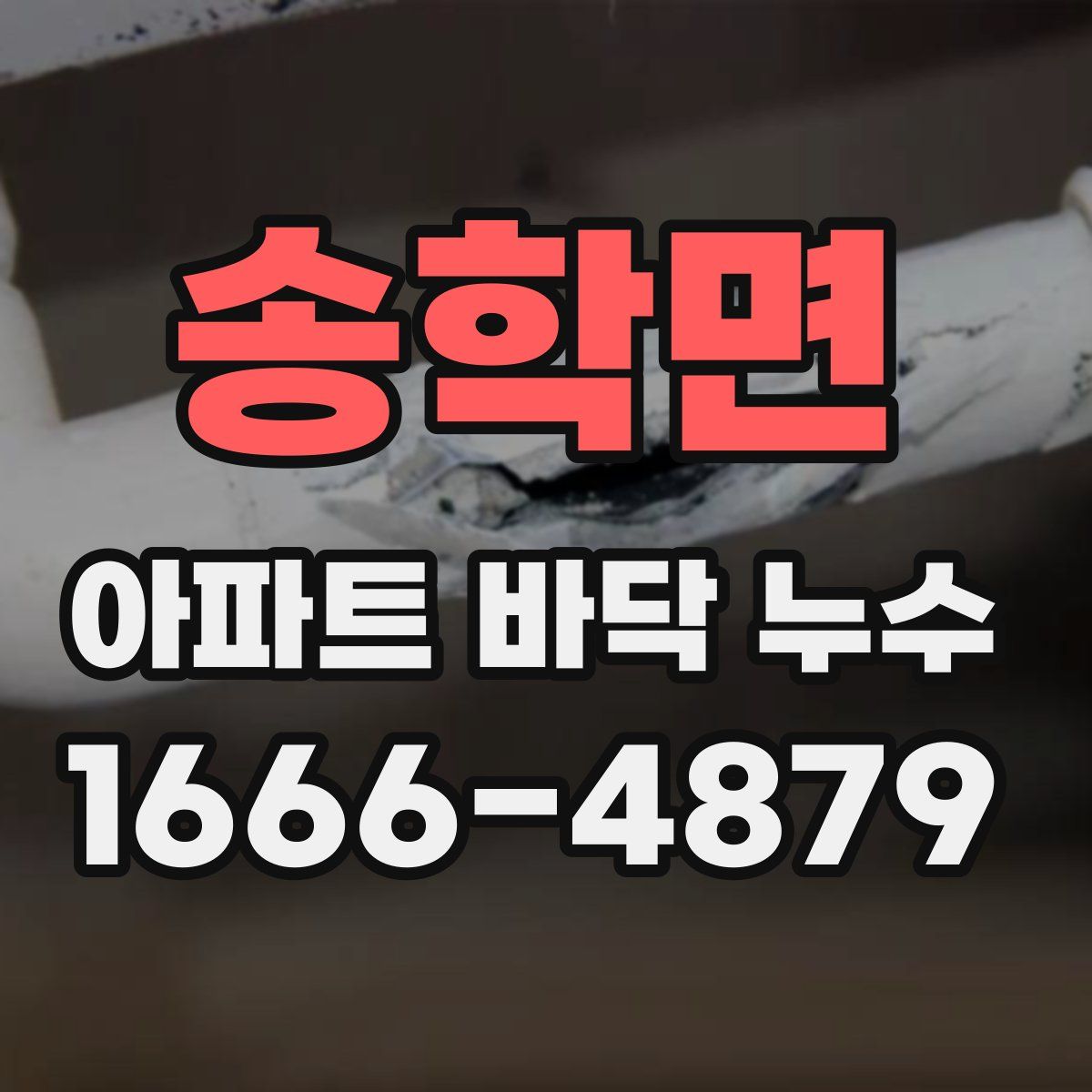 송학면 아파트 바닥 누수