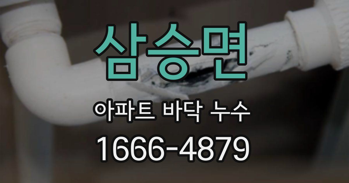 삼승면 아파트 바닥 누수