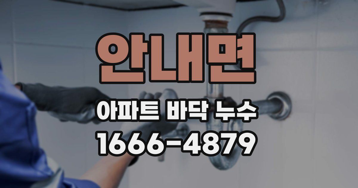 안내면 아파트 바닥 누수