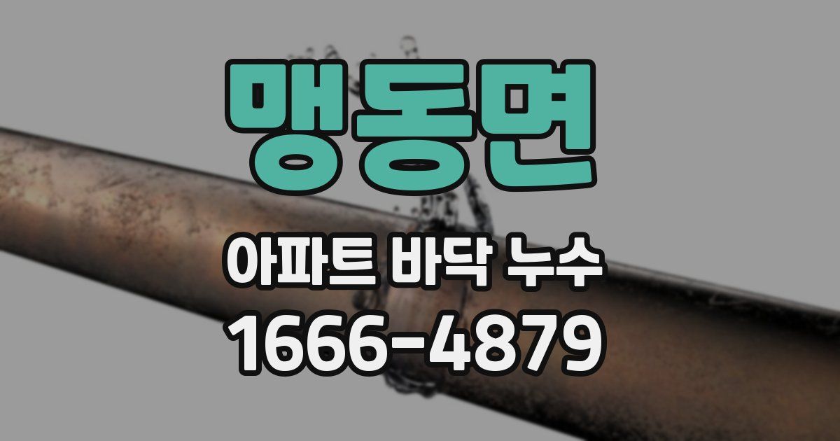맹동면 아파트 바닥 누수