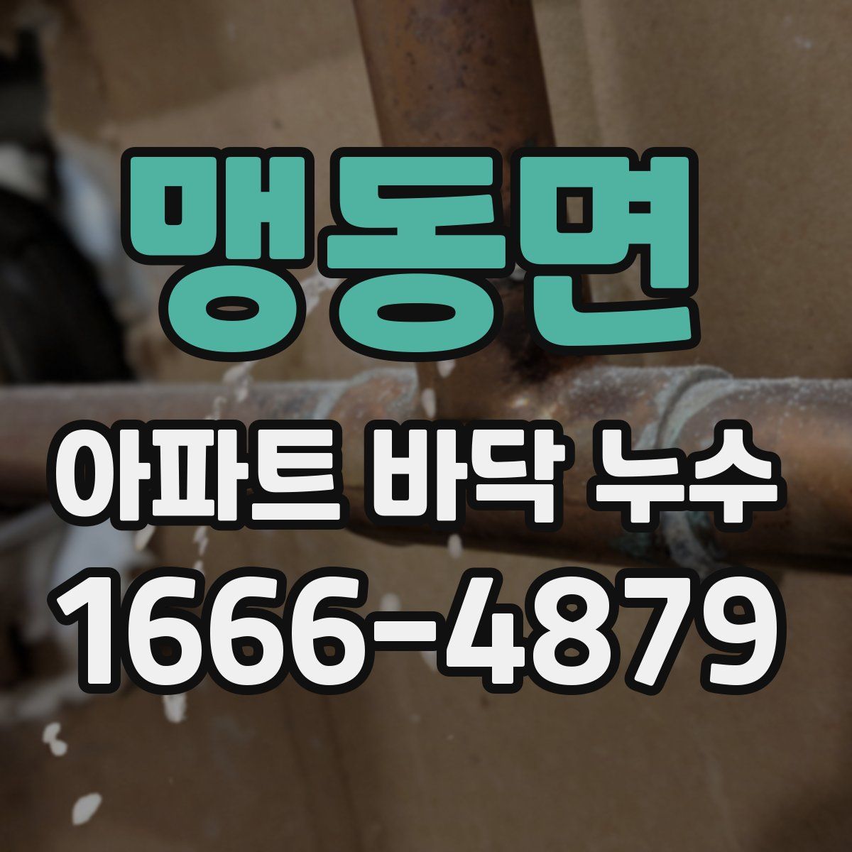 맹동면 아파트 바닥 누수