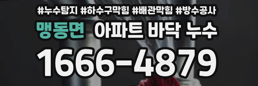 맹동면 아파트 바닥 누수