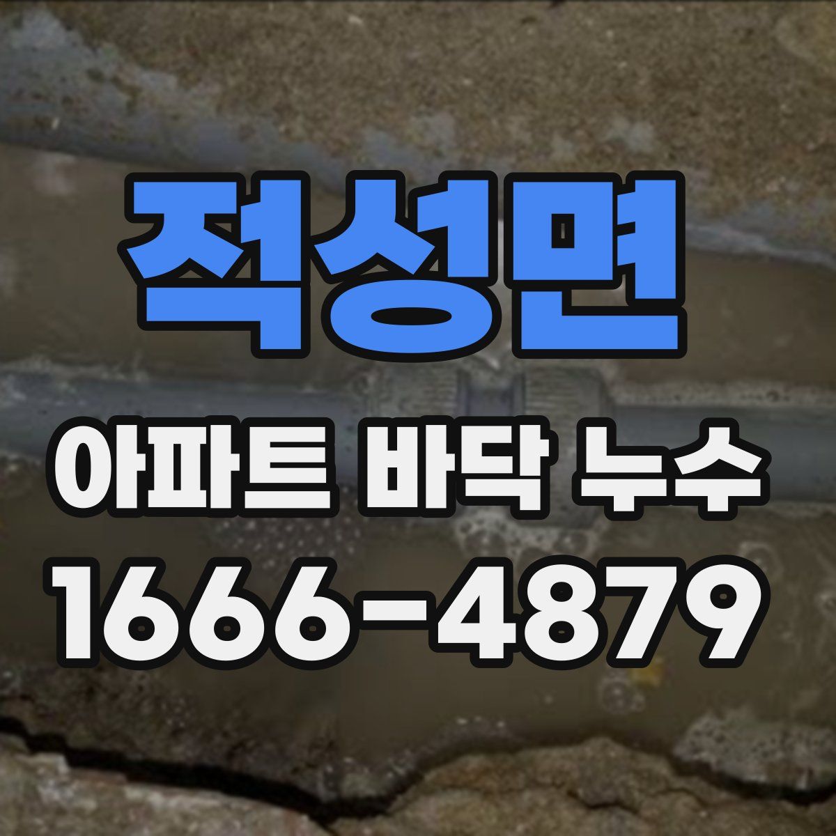 적성면 아파트 바닥 누수