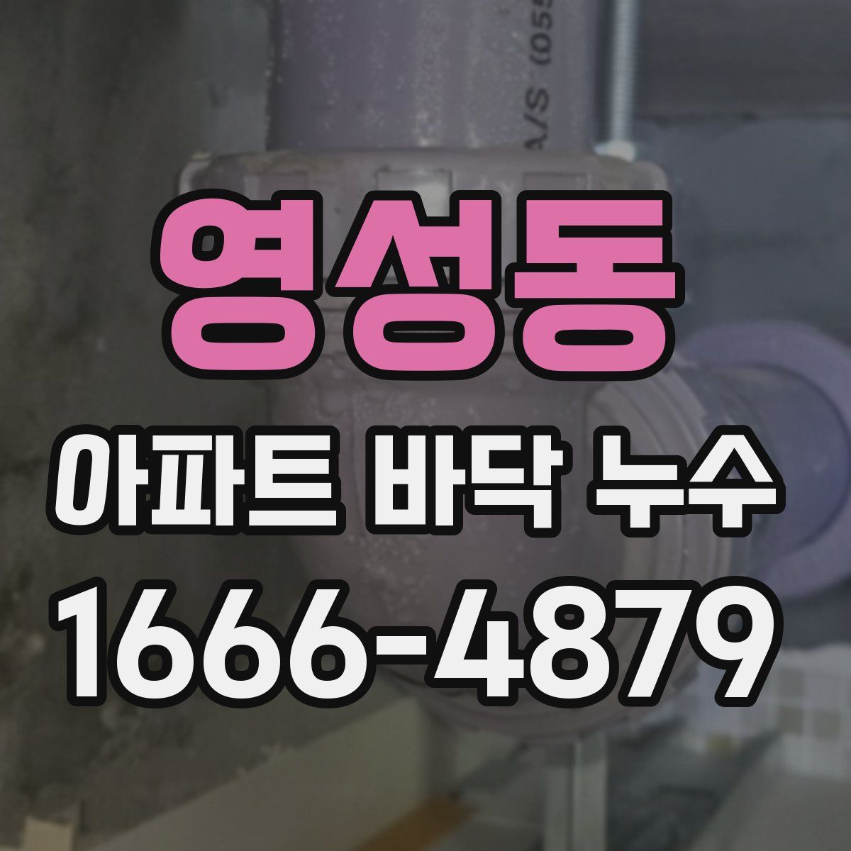 영성동 아파트 바닥 누수