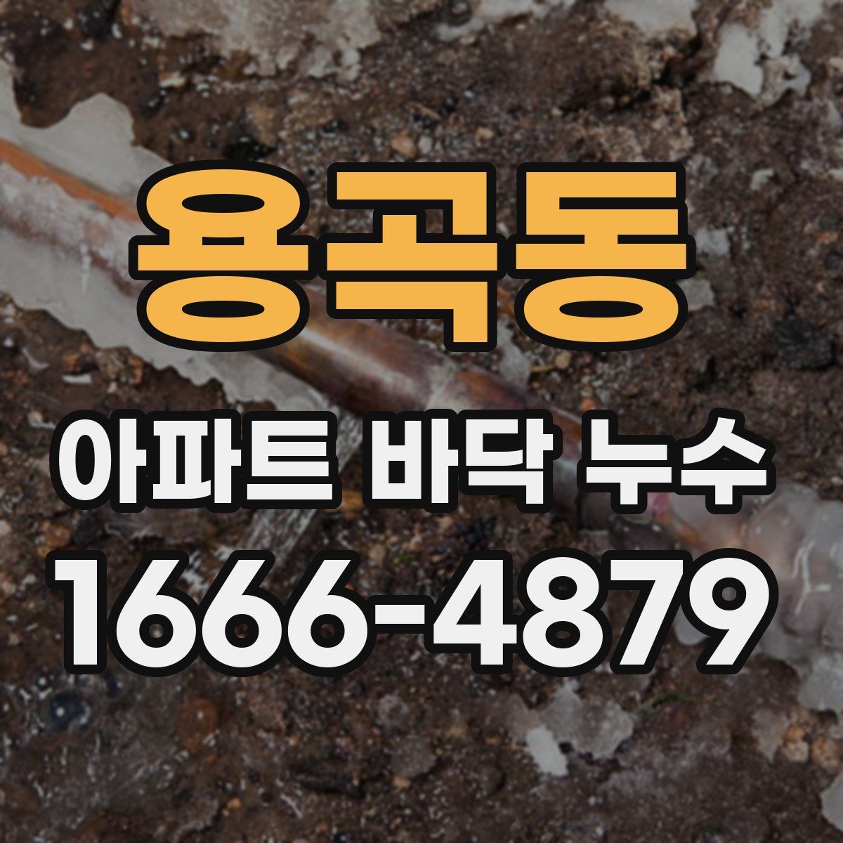 용곡동 아파트 바닥 누수