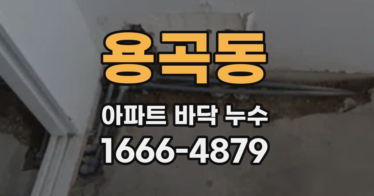 용곡동 아파트 바닥 누수