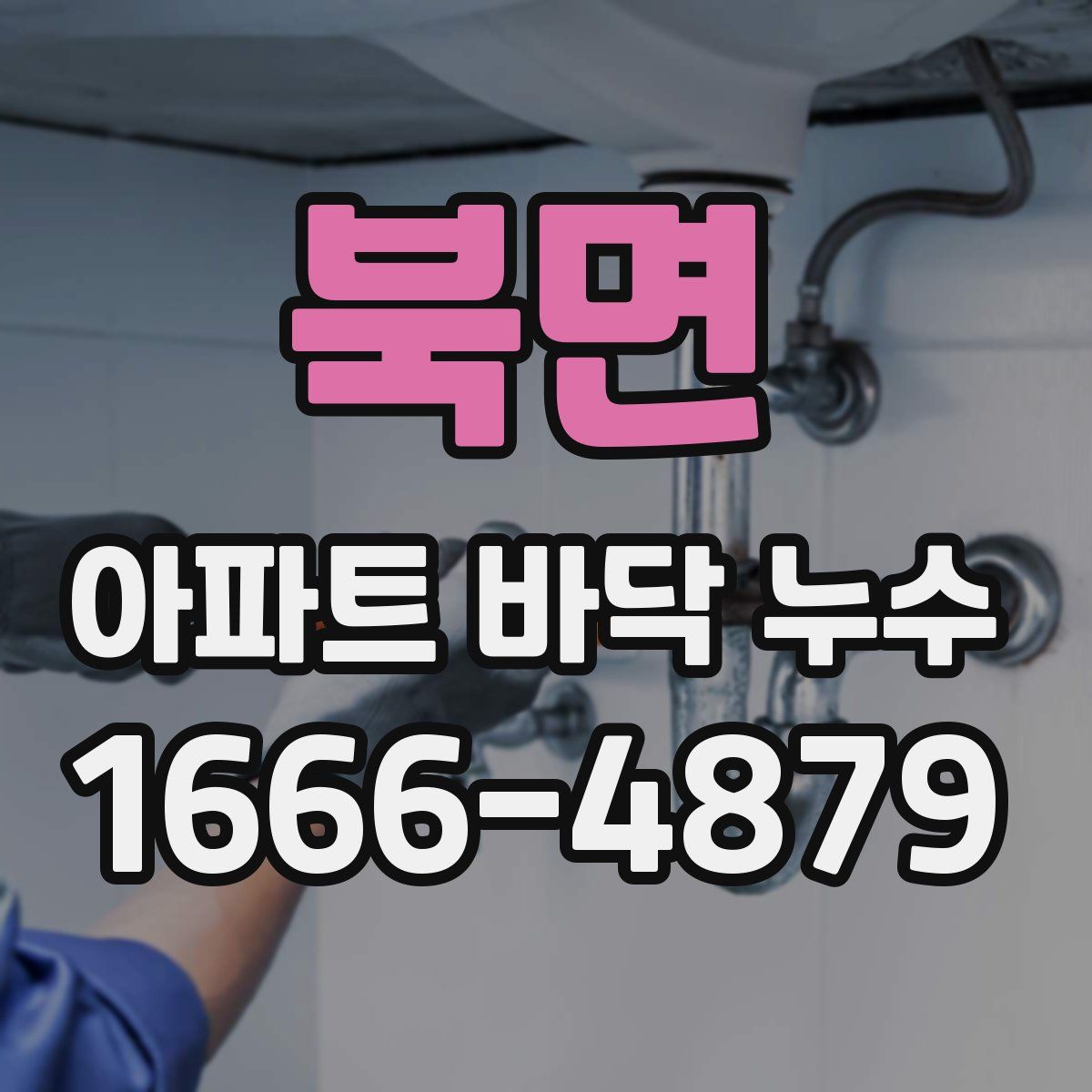 북면 아파트 바닥 누수