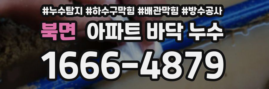 북면 아파트 바닥 누수