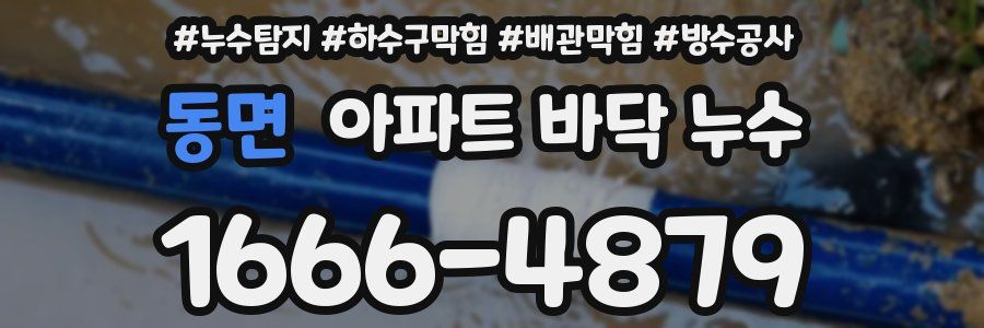 동면 아파트 바닥 누수