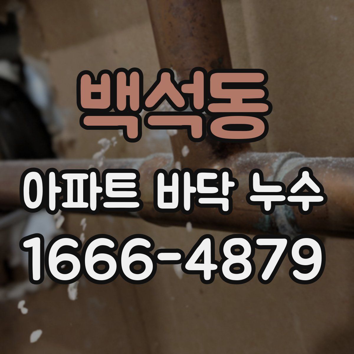 백석동 아파트 바닥 누수