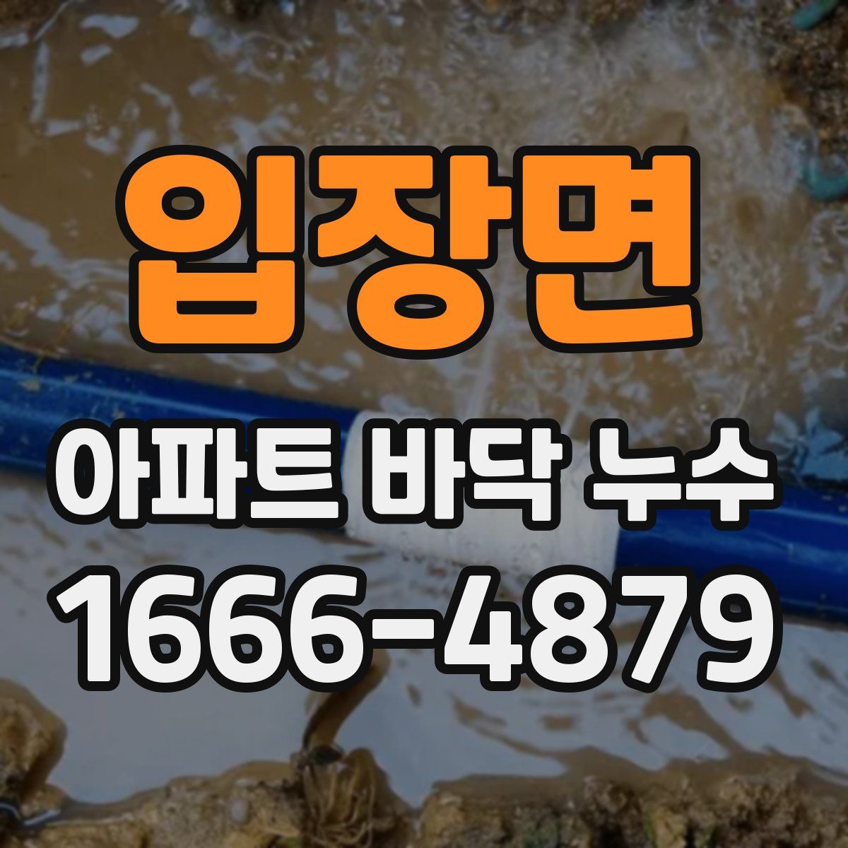 입장면 아파트 바닥 누수