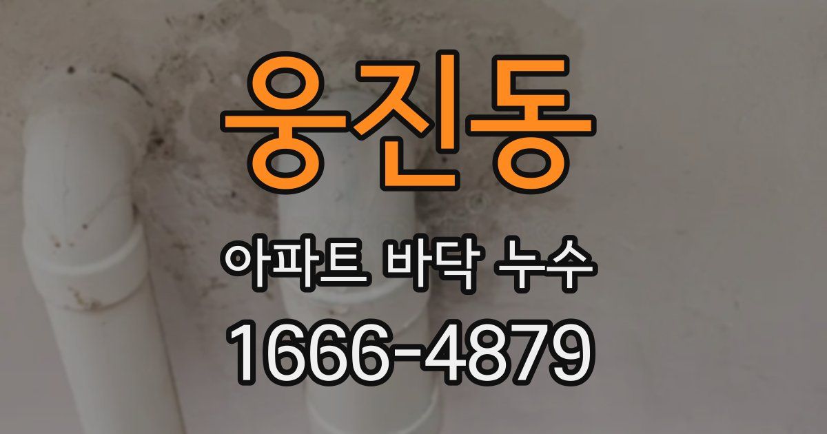 웅진동 아파트 바닥 누수