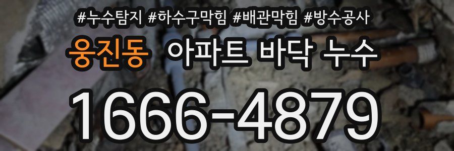 웅진동 아파트 바닥 누수