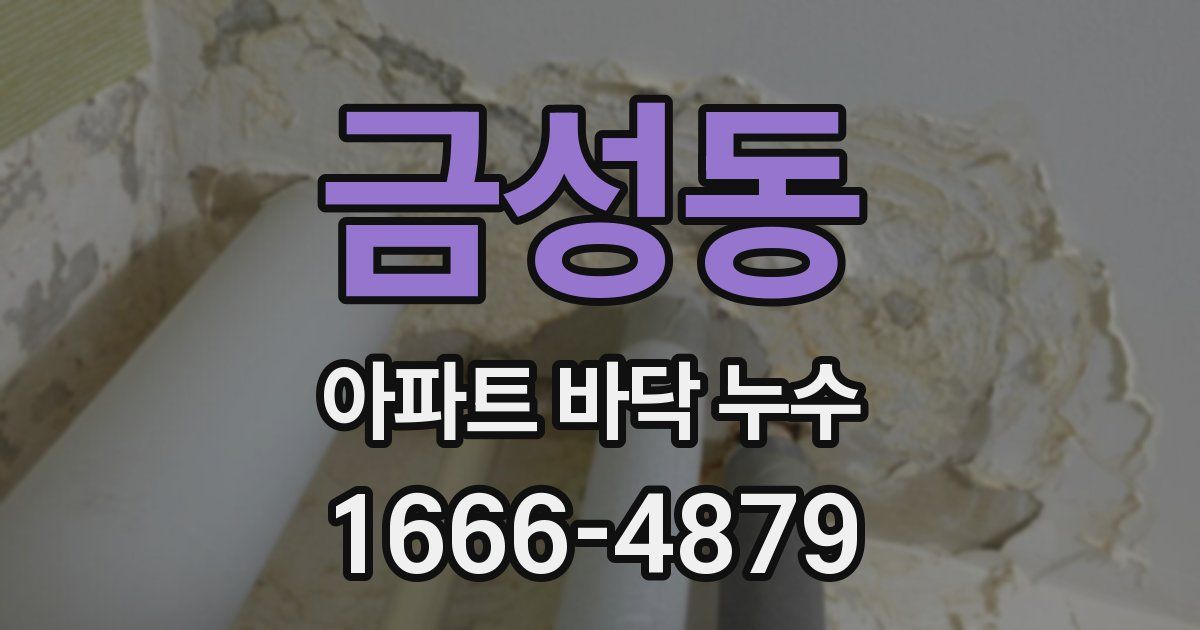 금성동 아파트 바닥 누수