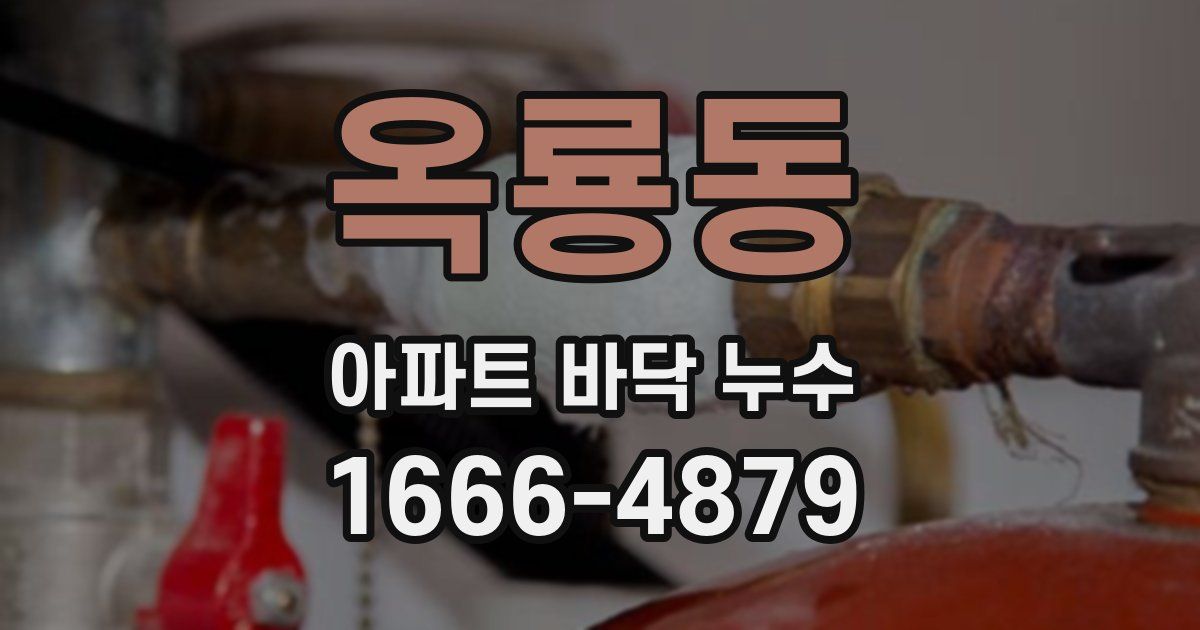 옥룡동 아파트 바닥 누수