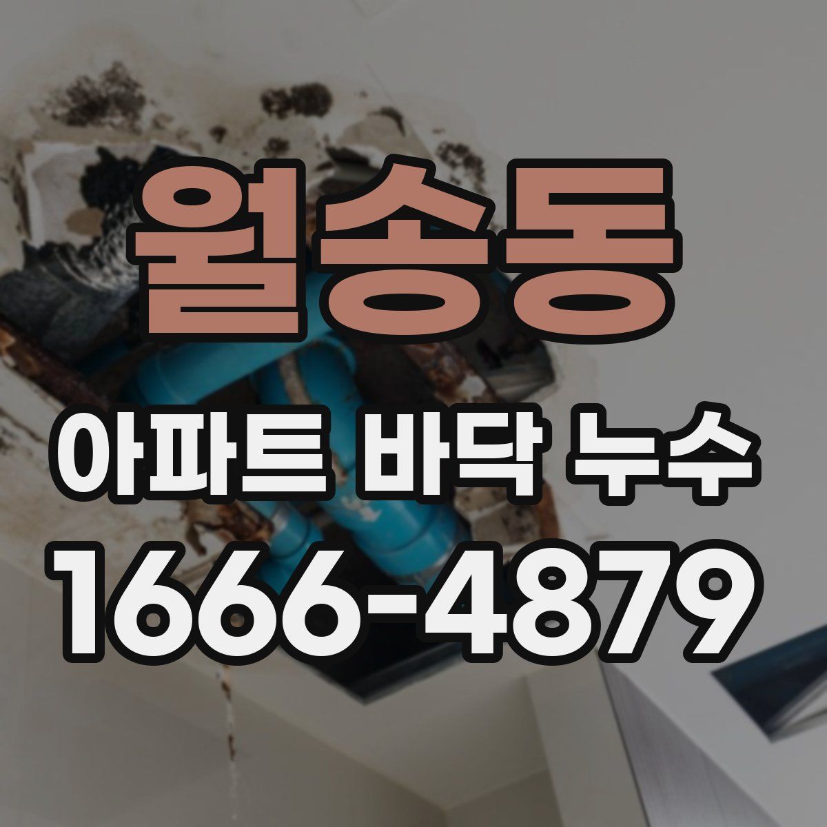 월송동 아파트 바닥 누수