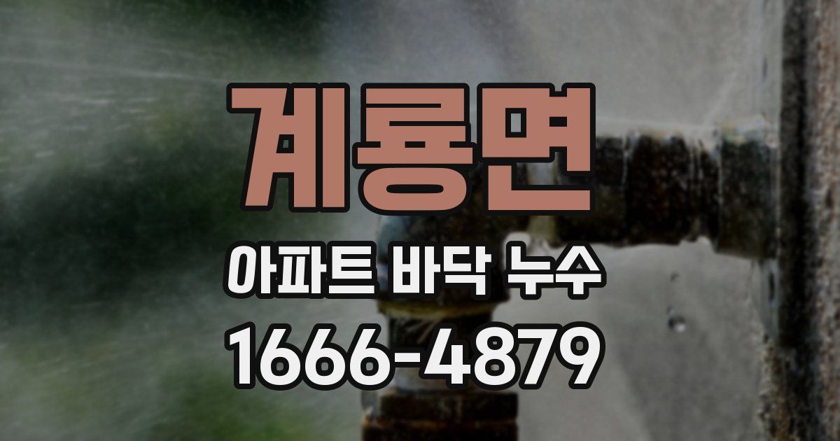 계룡면 아파트 바닥 누수