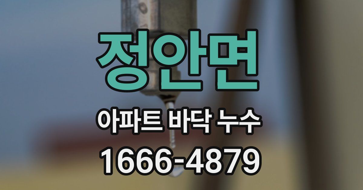 정안면 아파트 바닥 누수
