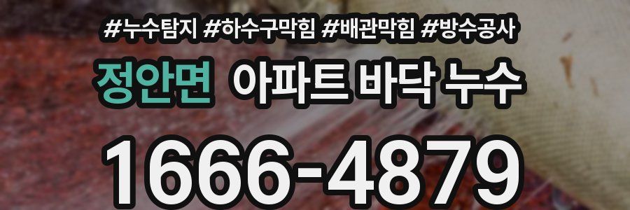 정안면 아파트 바닥 누수