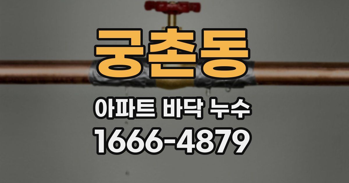 궁촌동 아파트 바닥 누수