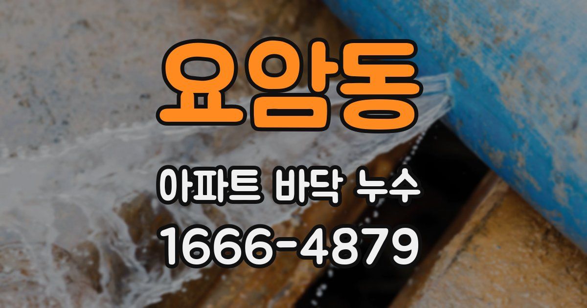 요암동 아파트 바닥 누수