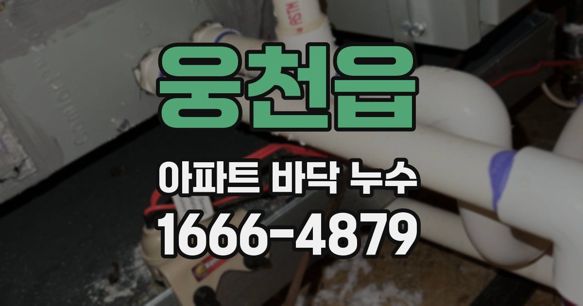 웅천읍 아파트 바닥 누수