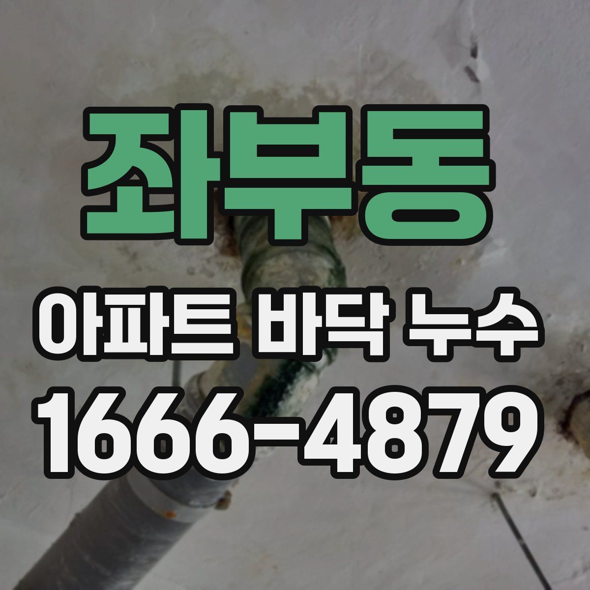 좌부동 아파트 바닥 누수