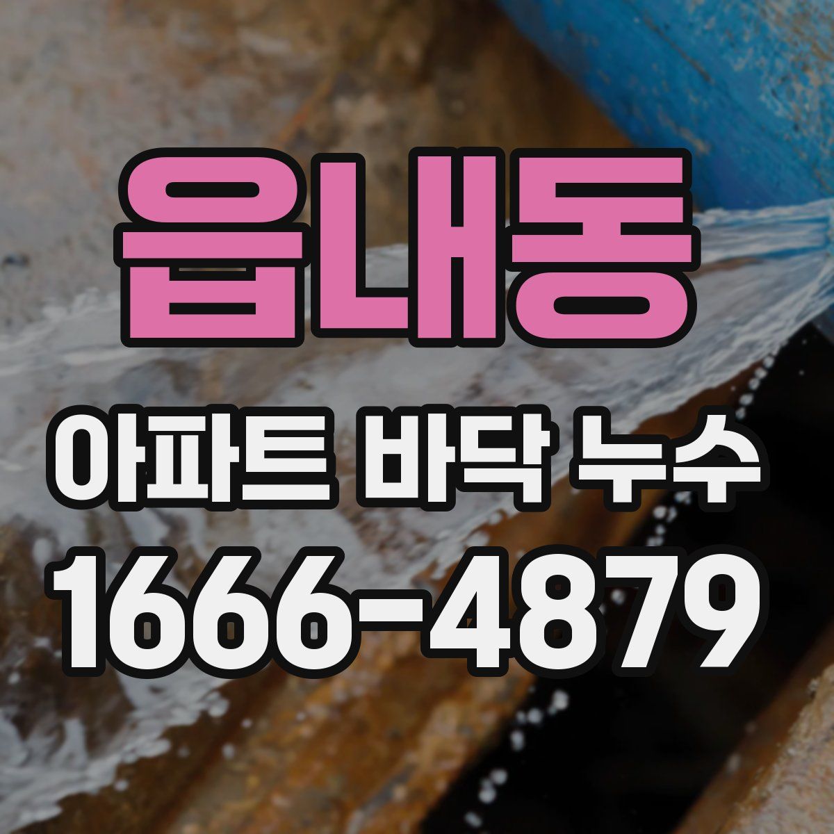 읍내동 아파트 바닥 누수