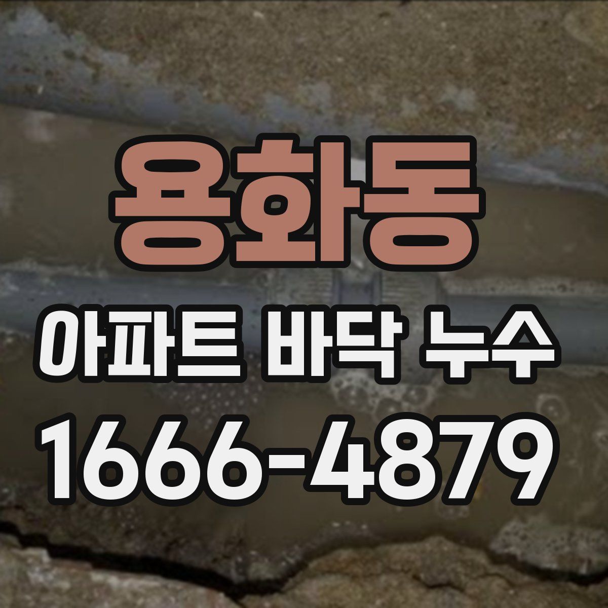 용화동 아파트 바닥 누수