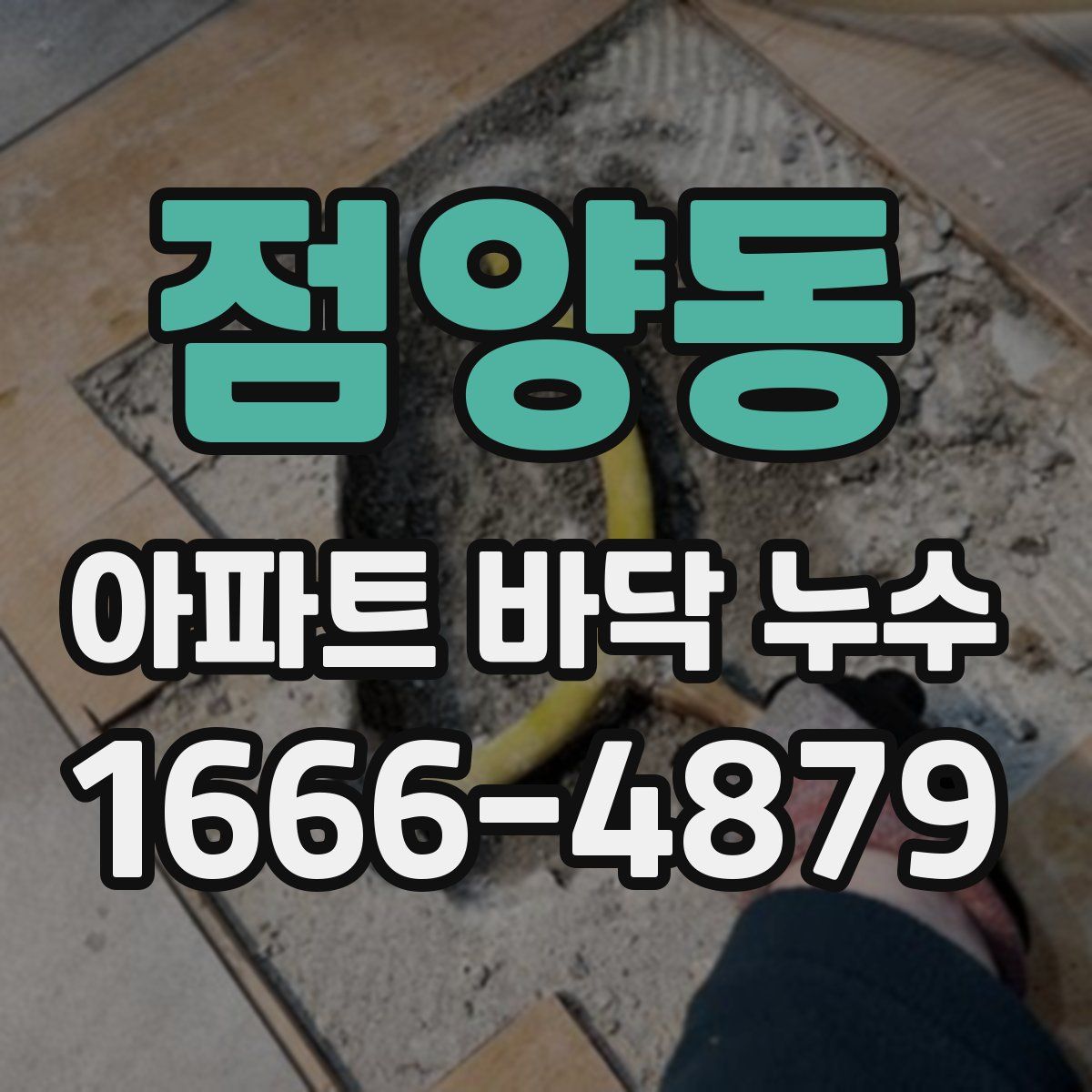 점양동 아파트 바닥 누수