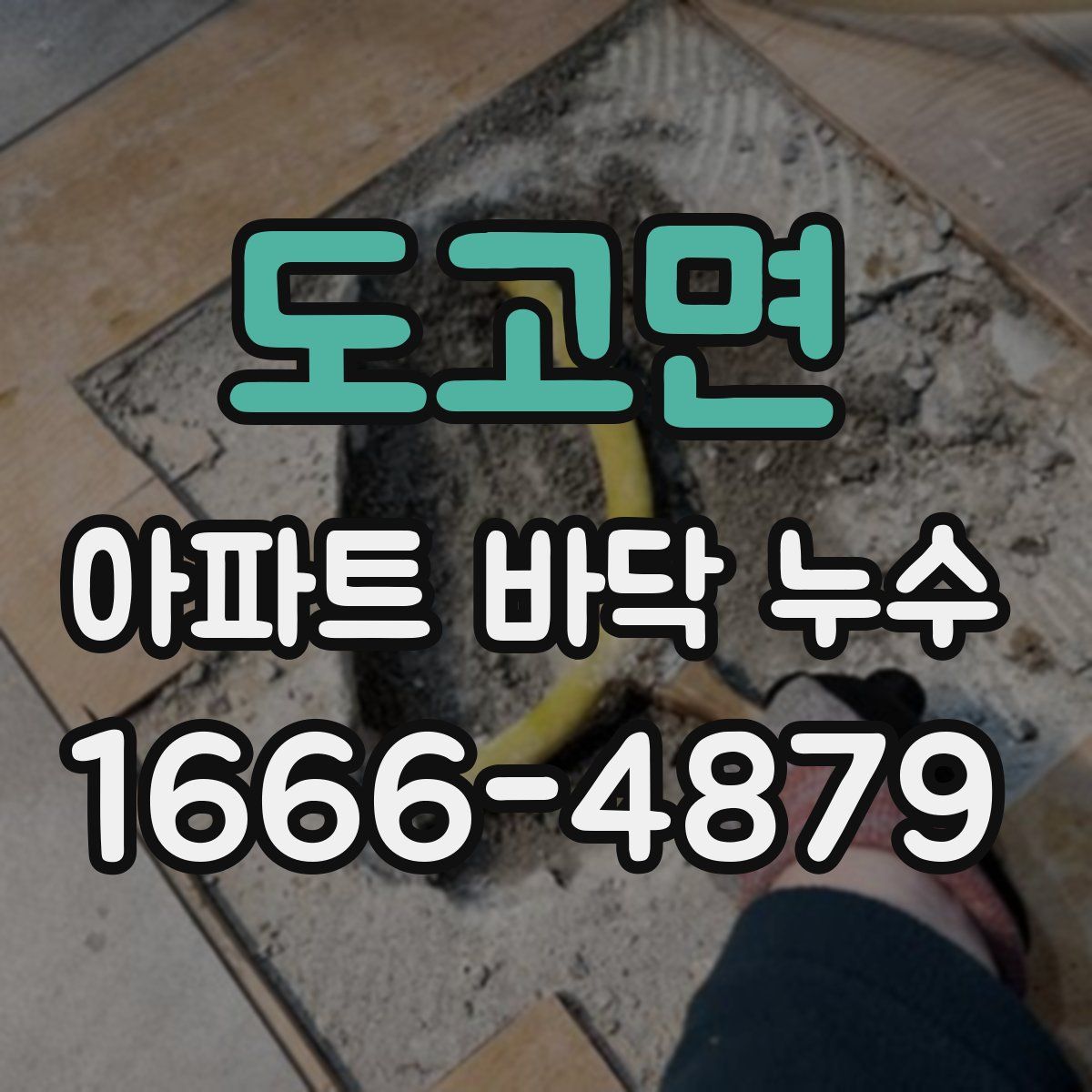 도고면 아파트 바닥 누수