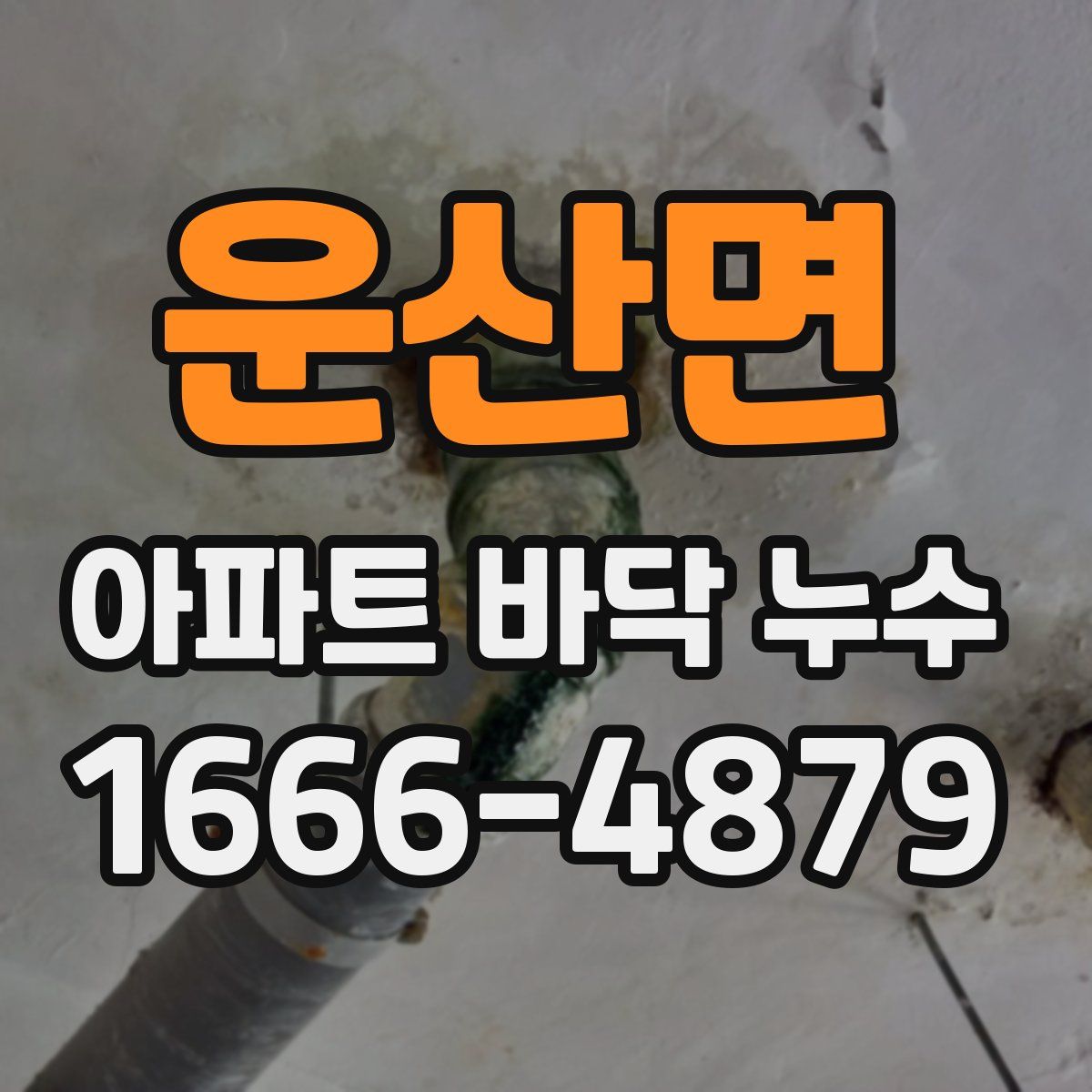 운산면 아파트 바닥 누수