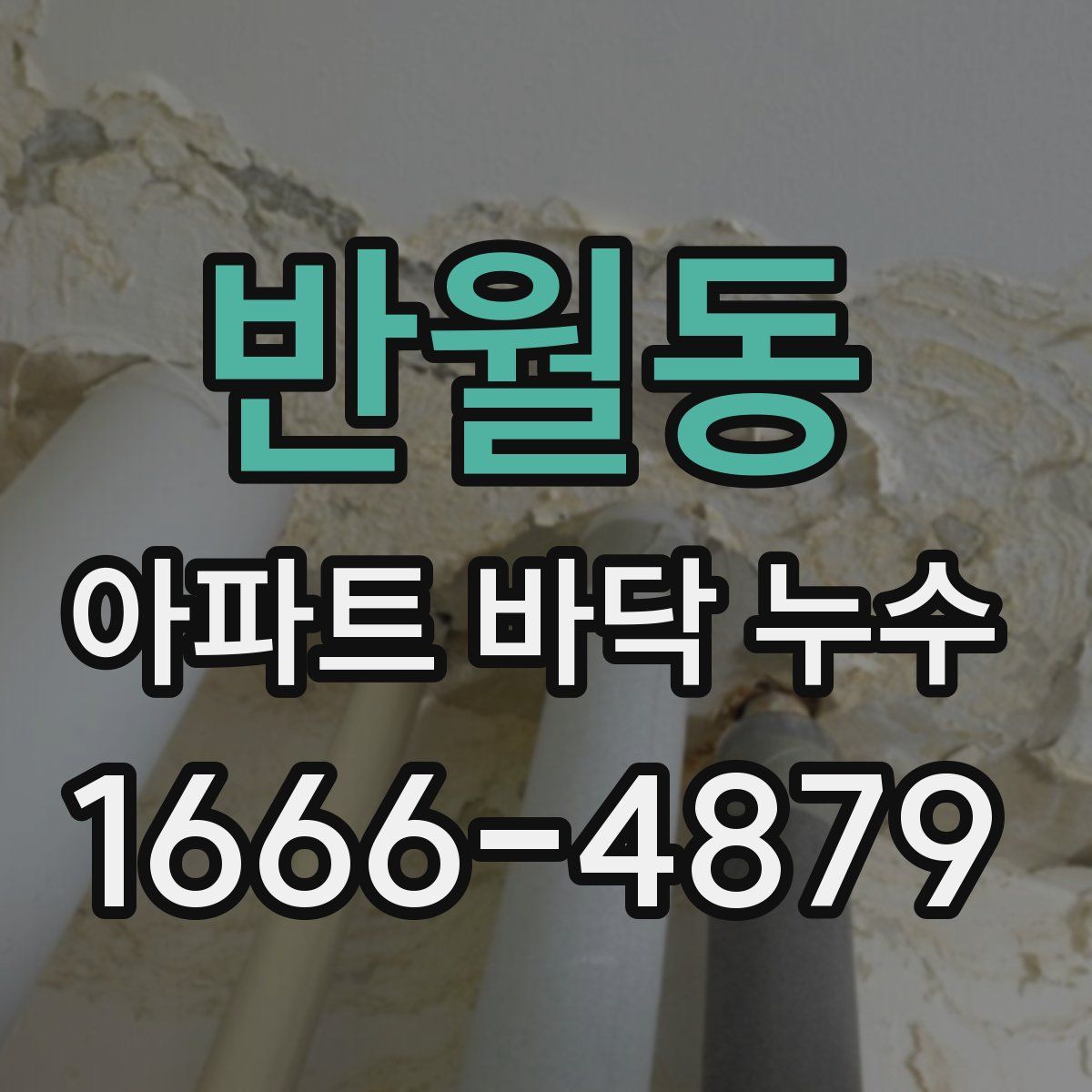 반월동 아파트 바닥 누수