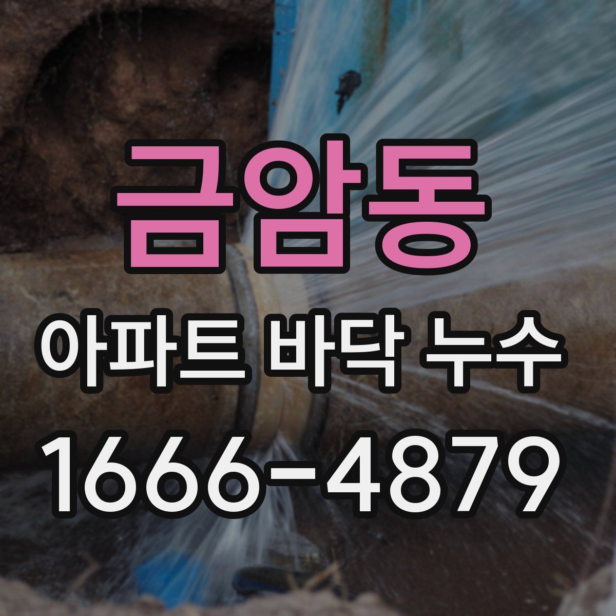 금암동 아파트 바닥 누수