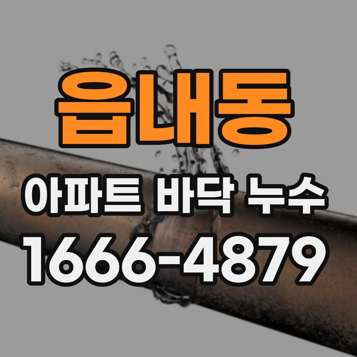 읍내동 아파트 바닥 누수