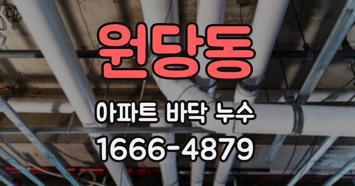 원당동 아파트 바닥 누수