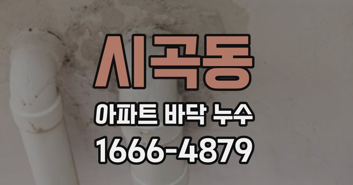 시곡동 아파트 바닥 누수