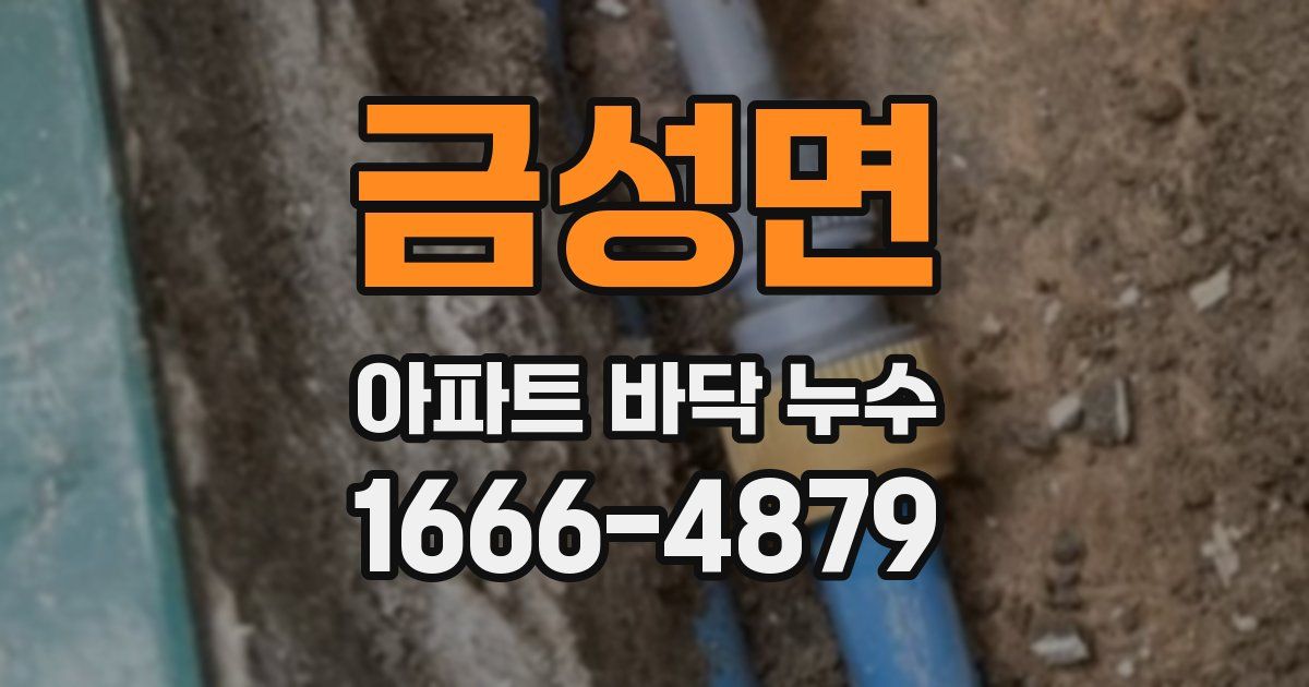 금성면 아파트 바닥 누수