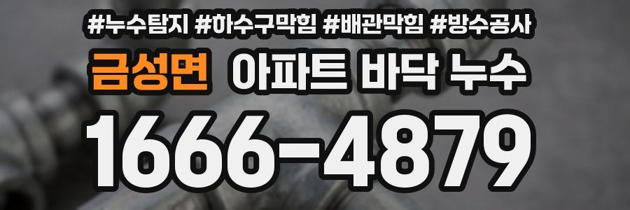 금성면 아파트 바닥 누수